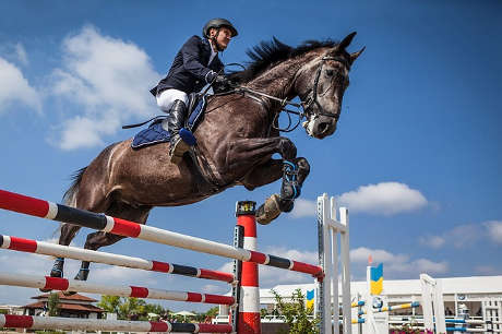 Journée du cheval à Miramas