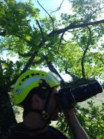 photo de altrobach